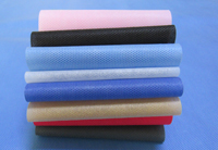 云安涤纶（PET）无纺布是什么