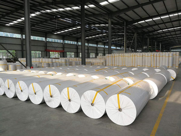 云安狭缝式涤纶纺粘无纺布